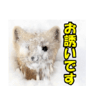 元気チャージ★大切な毎日にスタンプ（個別スタンプ：13）
