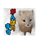 元気チャージ★大切な毎日にスタンプ（個別スタンプ：14）