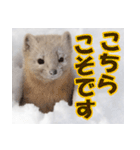 元気チャージ★大切な毎日にスタンプ（個別スタンプ：15）