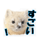 元気チャージ★大切な毎日にスタンプ（個別スタンプ：16）