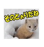 元気チャージ★大切な毎日にスタンプ（個別スタンプ：17）