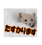 元気チャージ★大切な毎日にスタンプ（個別スタンプ：18）