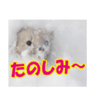 元気チャージ★大切な毎日にスタンプ（個別スタンプ：19）