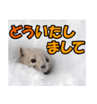 元気チャージ★大切な毎日にスタンプ（個別スタンプ：20）