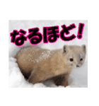 元気チャージ★大切な毎日にスタンプ（個別スタンプ：21）