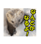 元気チャージ★大切な毎日にスタンプ（個別スタンプ：22）