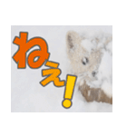 元気チャージ★大切な毎日にスタンプ（個別スタンプ：23）