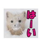 元気チャージ★大切な毎日にスタンプ（個別スタンプ：24）