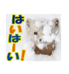 元気チャージ★大切な毎日にスタンプ（個別スタンプ：25）
