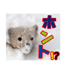 元気チャージ★大切な毎日にスタンプ（個別スタンプ：26）