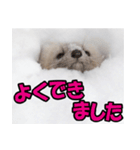 元気チャージ★大切な毎日にスタンプ（個別スタンプ：27）
