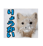 元気チャージ★大切な毎日にスタンプ（個別スタンプ：28）