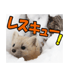 元気チャージ★大切な毎日にスタンプ（個別スタンプ：29）