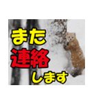 元気チャージ★大切な毎日にスタンプ（個別スタンプ：30）