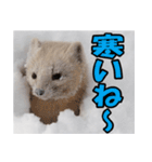 元気チャージ★大切な毎日にスタンプ（個別スタンプ：32）