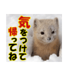 元気チャージ★大切な毎日にスタンプ（個別スタンプ：33）