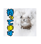 元気チャージ★大切な毎日にスタンプ（個別スタンプ：34）