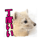 元気チャージ★大切な毎日にスタンプ（個別スタンプ：35）