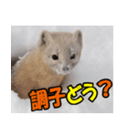 元気チャージ★大切な毎日にスタンプ（個別スタンプ：36）
