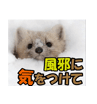 元気チャージ★大切な毎日にスタンプ（個別スタンプ：37）