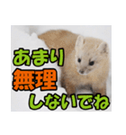 元気チャージ★大切な毎日にスタンプ（個別スタンプ：38）