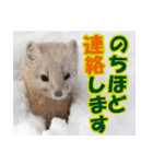 元気チャージ★大切な毎日にスタンプ（個別スタンプ：39）