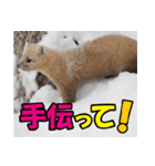 元気チャージ★大切な毎日にスタンプ（個別スタンプ：40）