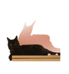 黒猫 テテ（個別スタンプ：4）