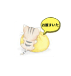 ネコスタンプ「日常編」（個別スタンプ：3）