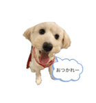ここのスタンプ 2（個別スタンプ：8）