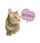 たいちゃんとルズガル♡（個別スタンプ：8）