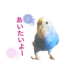 たいちゃんとルズガル♡（個別スタンプ：9）