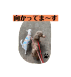 リリィの日常＾＾（個別スタンプ：2）
