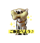リリィの日常＾＾（個別スタンプ：3）
