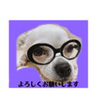 リリィの日常＾＾（個別スタンプ：4）