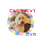フッカフカのフッカ・その1（個別スタンプ：4）