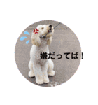 フッカフカのフッカ・その1（個別スタンプ：8）