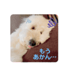 フッカフカのフッカ・その1（個別スタンプ：9）