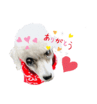 LEON♥（個別スタンプ：14）