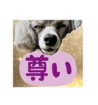 LEON♥（個別スタンプ：23）