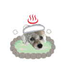 LEON♥（個別スタンプ：28）