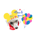 LEON♥（個別スタンプ：38）