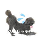 LEON♥（個別スタンプ：40）