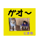 はじめまして、にまめです。（個別スタンプ：6）