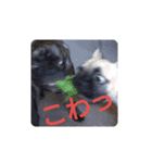 3文字表現（個別スタンプ：4）