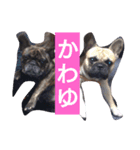 3文字表現（個別スタンプ：5）