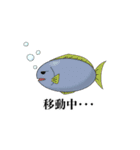 海の生き物は◯◯中・・・（個別スタンプ：8）