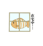 海の生き物は◯◯中・・・（個別スタンプ：13）