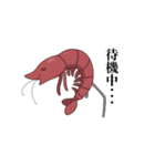 海の生き物は◯◯中・・・（個別スタンプ：16）