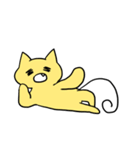 猫のカルボ（個別スタンプ：20）